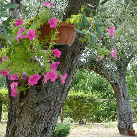 Giardino Agritourist Controguerra